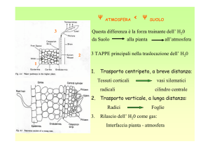 3 TAPPE principali nella traslocazione dell` H 0 1. Trasporto