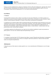 Gravidanza: Allattamento