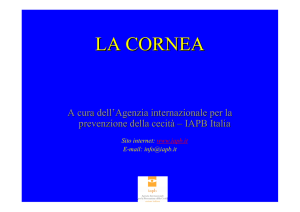 Anatomia della Cornea