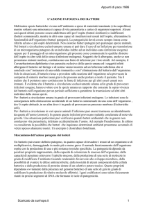 Azione patogena dei batteri