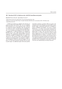 Detection of GFLV in Xiphinema index with DNA