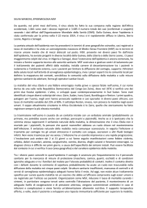 In allegato la relazione di Silvia Mancini
