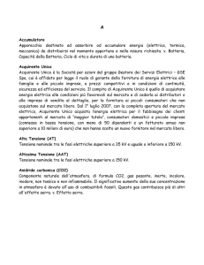 Accumulatore Apparecchio destinato ad assorbire od accumulare