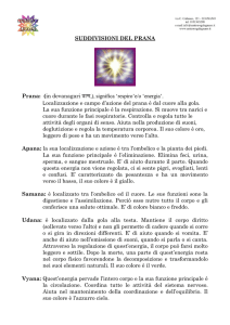 suddivisioni del prana