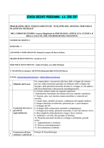 Di Marco Stefano - Sviluppo Sistema Nervoso e Plasticità