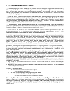 Il ciclo femminile spiegato con sei grafici