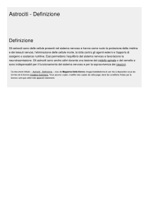 Astrociti - Definizione