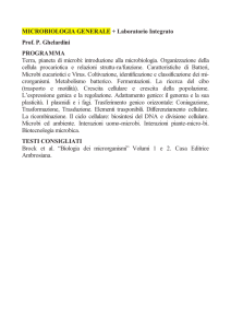 MICROBIOLOGIA GENERALE + Laboratorio Integrato Prof. P
