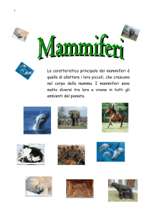 Gli animali - MaestraSabry