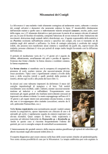 Clicca qui per visualizzare il file Pdf