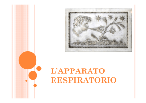 APPARATO RESPIRATORIO