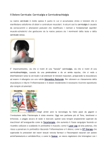 Il Dolore Cervicale: Cervicalgia e Cervicobrachialgia