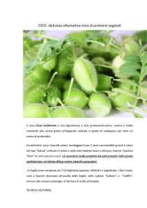 Tecniche colturali del cece in agricoltura biologica
