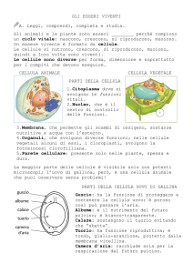 GLI ESSERI VIVENTI A. Leggi, comprendi