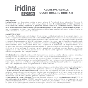 Scarica il foglietto illustrativo