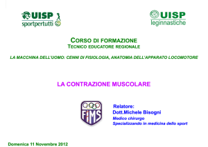 La contrazione muscolare