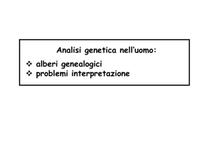 Analisi genetica nell`uomo: alberi genealogici