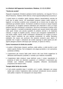 Le infezioni dell`apparato locomotore. Modena, 11