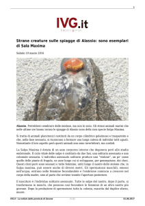 Stampa - IVG.it