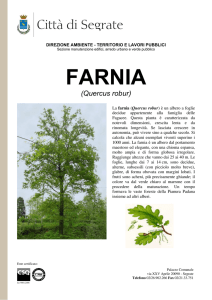 farnia - Comune di Segrate