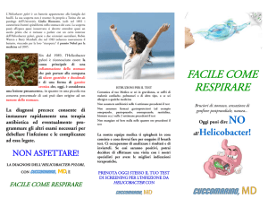 brochure sull`H. pylori