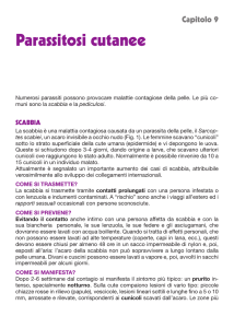 Parassitosi cutanee