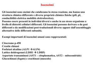Diapositiva 1