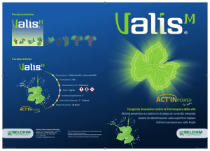 Valis M - Belchim