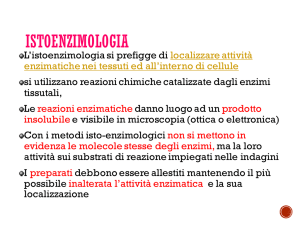 08 2016 istoenzimologia