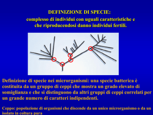 Presentazione di PowerPoint - e