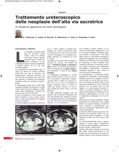 Trattamento ureteroscopico delle neoplasie dell`alta