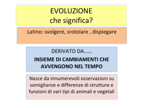 evoluzione - anna onofri