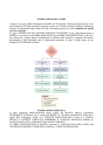 Fisiologia sistema cardiovascolare 4 File - e