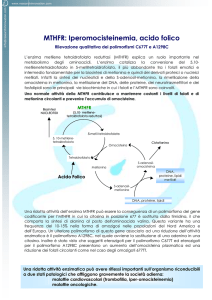 MTHFR: Iperomocisteinemia, acido folico