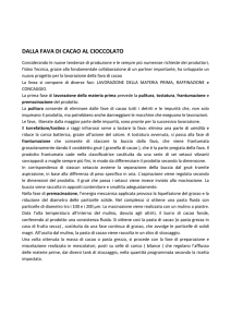 dalla fava di cacao al cioccolato