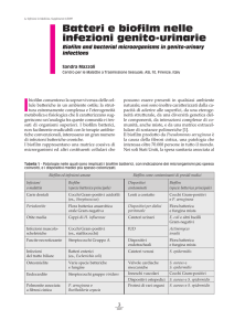 Batteri e biofilm nelle infezioni genito-urinarie