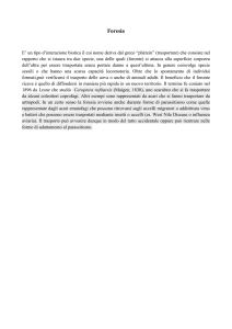 Dispense Foresia - Progetto e