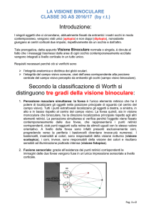 la visione binoculare