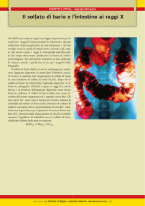 Il solfato di bario e l`intestino ai raggi X