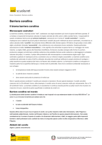 Il bioma barriera corallina