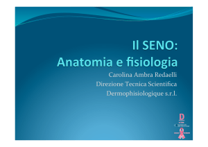 IL SENO: Anatomia e Fisiologia