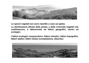 Le specie vegetali non sono ripartite a caso sul