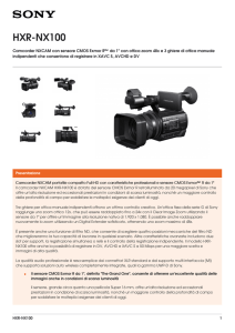 HXR-NX100 Brochure