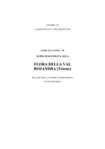 Flora e Vegetazione del Carso File