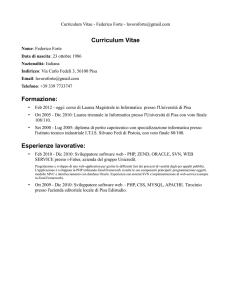 Curriculum vitae del candidato