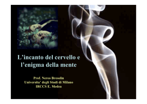 L`incanto del cervello e l`enigma della mente