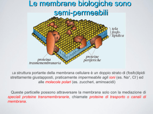 01 Canali Ionici
