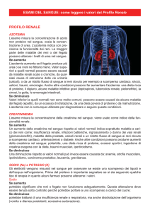 Profilo Renale