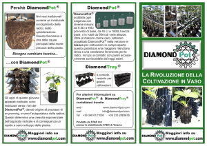 Visualizza la Brochure in PDF