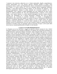 Infezioni Intestinali - Farma